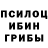 Галлюциногенные грибы мицелий Merry Digging
