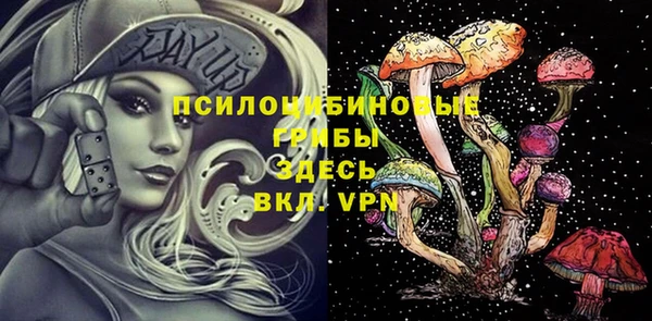 2c-b Осташков