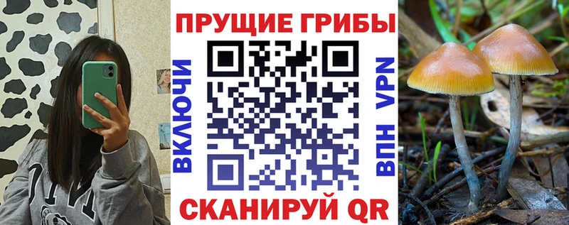 MEGA ТОР  Туринск  Галлюциногенные грибы ЛСД 